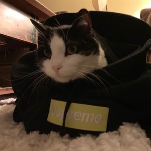 Meet your Posher, Melo